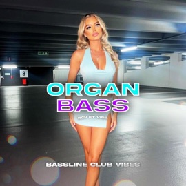 Organ Bass (feat. Vibe.) Bassline Club Vibes