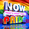 NOW That's What I Call Pride - Various Artists