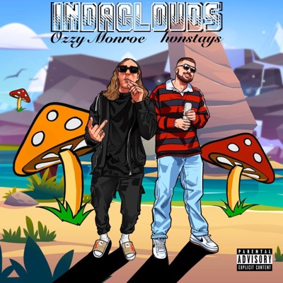 Indaclouds (feat. Hvnstays) - Single