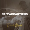 Je T'appartiens (Remix)