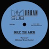 Forever (feat. Sabrina Johnston) [Michael Gray Extended Remix] cover art
