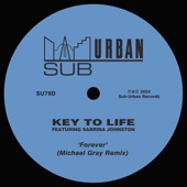 Forever (feat. Sabrina Johnston) [Michael Gray Extended Remix] artwork