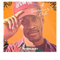 At Summer's End - EP - Trmnds Mldy