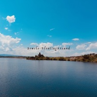 Floating Around - Single - Sewelo