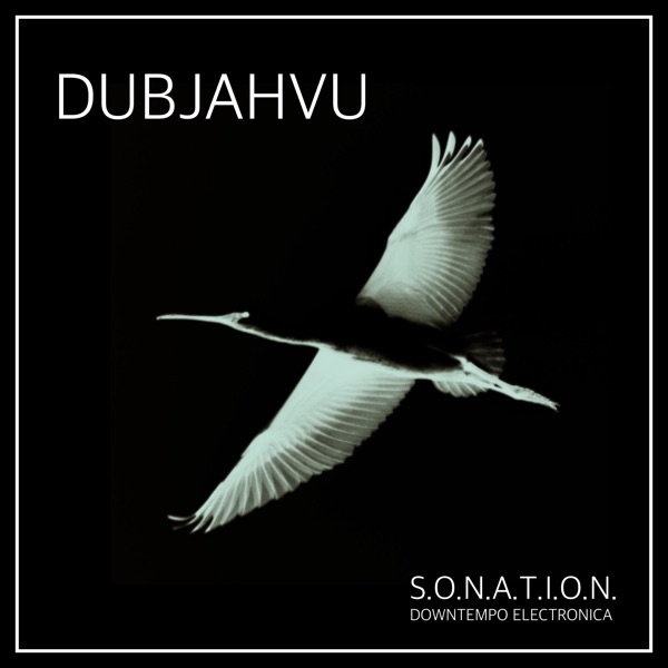 Dubjahvu - Single