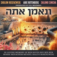 Vinemon Ato (feat. Abie Rotenberg & Shlomo Simcha) - Single - Sholom Rosenzweig