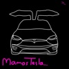 Talzunas - Mamos Tesla