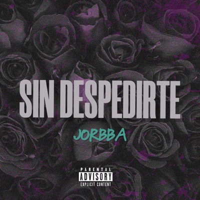 Sin Despedirte - Single