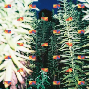 Fuha - Single