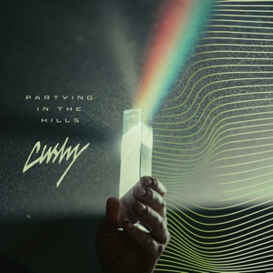 Partying in the Hills - Single