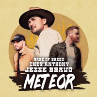 Meteor (feat. Rare of Breed & Ches Anthony) - Single - Jesse Bravo