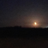 was it all a waste? - EP - Fxckzeez