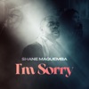 I'm Sorry - Single