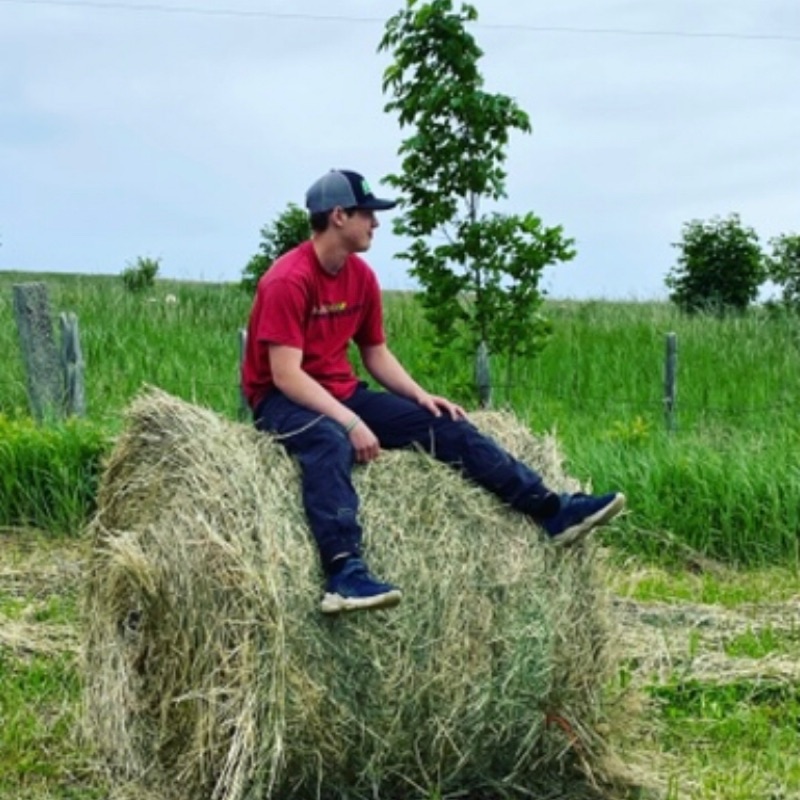 Down lil - Boys Sing Call Me Maybe-Remix