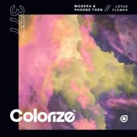 Lotus Flower - Single - Modera & Phoebe Tsen