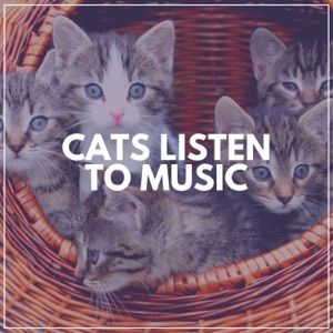 Cats Listen to Music