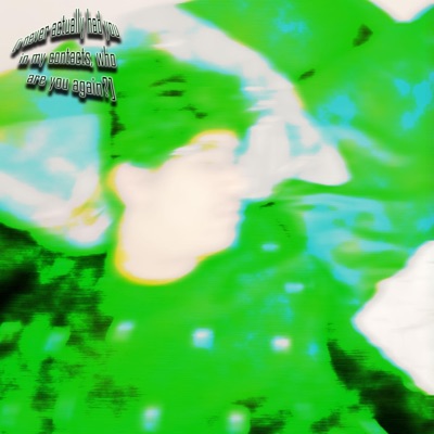 I Never Actually Had You In My Contacts, Who Are You Again? - Single