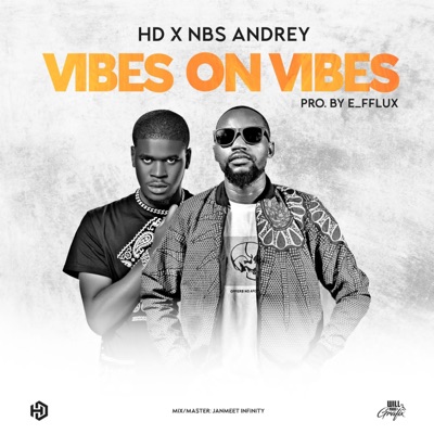 Vibes On Vibes - Single