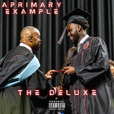 A Primary Example (The Deluxe)