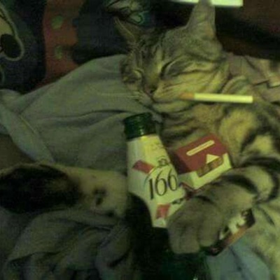 Never Wanted This - Single