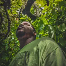 Listen to RoDan AFK, watch music videos, read bio, see tour dates & more!