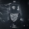 Level (feat. Dionis) [Archquaranth Mix] - Toxid lyrics
