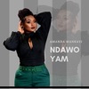 Ndawo Yam - Single