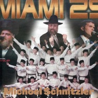 Miami 29 (feat. Yerachmiel Begun & the Miami Boys Choir) [Live] - Single - Michoel Schnitzler
