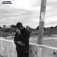 Intombi Yomfethu (feat. luzyo keys) - Single - Owen jxy