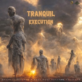 Execution (feat. Tranquil & West Bank Records) DAMOO BEATZ