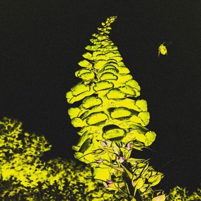 Melankolisk - Single