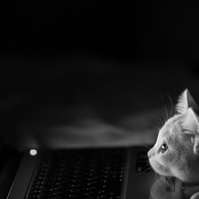 Djboyone - 柠檬喜全弹