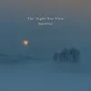 The Night You Flew