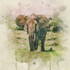 Infinitum - Ancestral Elephants