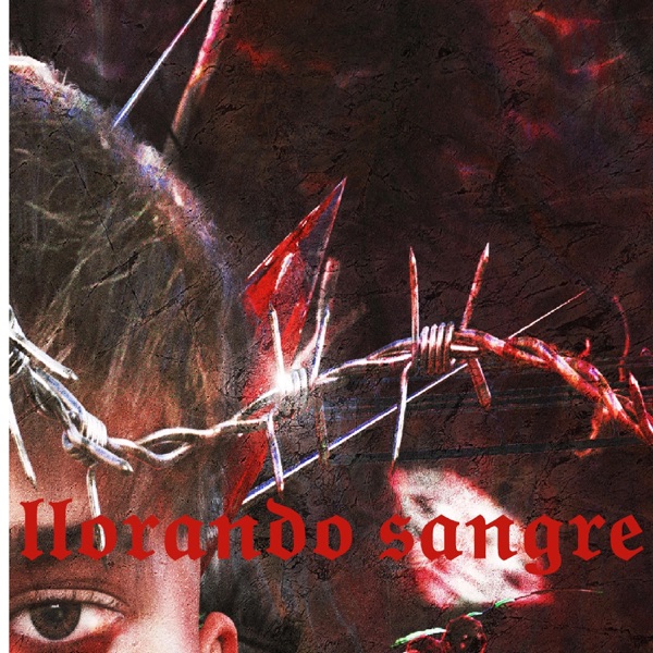 llorando sangre (feat. NanuBB)