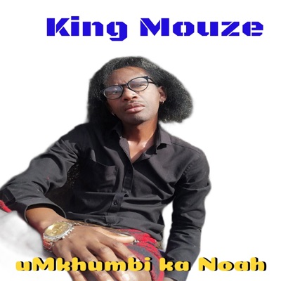 uMkhumbi ka Noah - Single