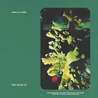 Forest Fruit — Jungle By Night