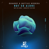 Not So Alone - Single - Mattias Herrera & Dunadry
