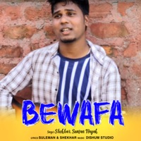 Bewafa - Single - Shekhar & suman nayak