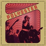 Polyester - Beauty Is Pain