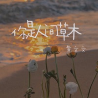 你是人间草木 - Single - 黄文文