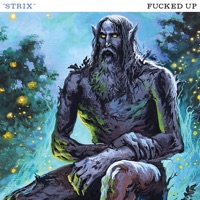Strix - Single - Fucked Up