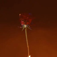 Kamav Tut (feat. Nico Benz) - Single - Dynamic