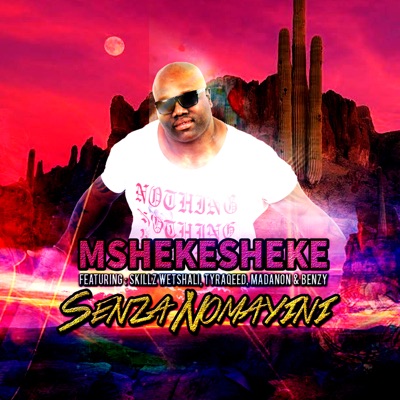 Senza Nomayini (feat. Skillz Wetshali, Tyraqeed, Madanon & BENZY) - Single