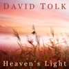 Heaven's Light - David Tolk