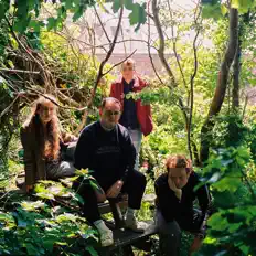 Listen to The Roebucks, watch music videos, read bio, see tour dates & more!