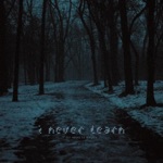 my head is empty - I Never Learn