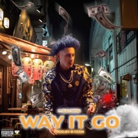 Way It Go - Single - C $ausin