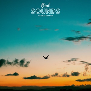 Bird Sounds Natural Sleep Aid