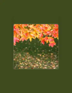 Printes을(를) 듣고, 뮤직 비디오를 보고, 약력을 읽고, 투어 일정 등을 확인하세요!